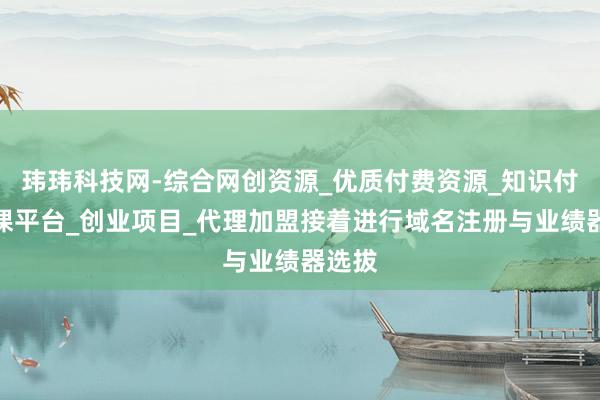 玮玮科技网-综合网创资源_优质付费资源_知识付费网课平台_创业项目_代理加盟接着进行域名注册与业绩器选拔